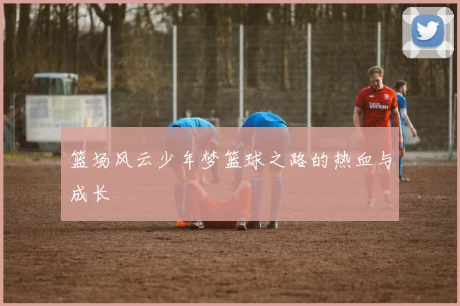 篮场风云少年梦篮球之路的热血与成长