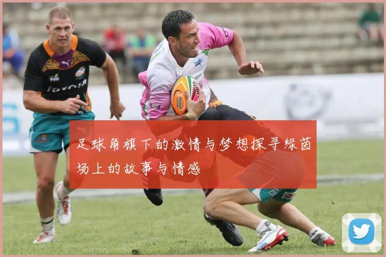 足球角旗下的激情与梦想探寻绿茵场上的故事与情感