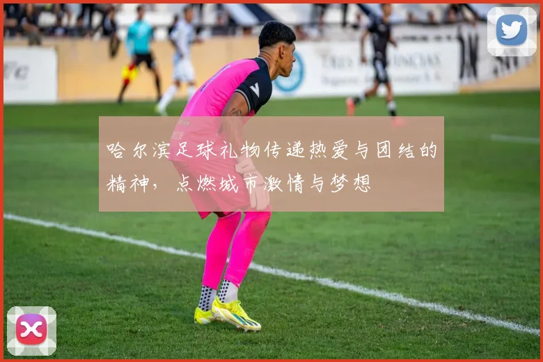 哈尔滨足球礼物传递热爱与团结的精神，点燃城市激情与梦想