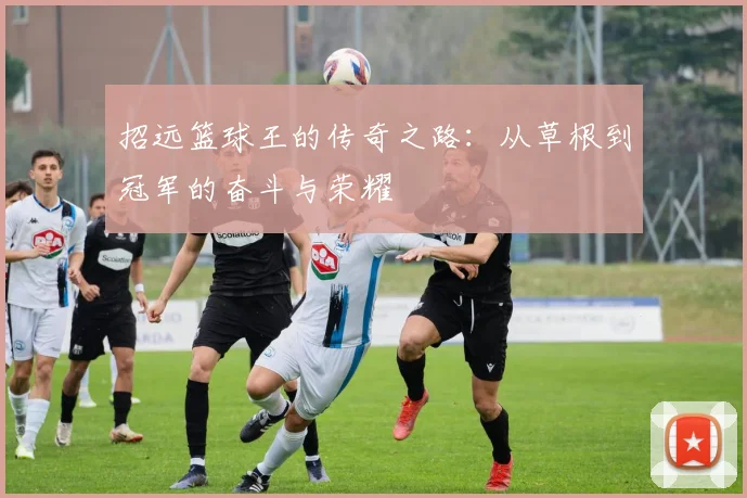 招远篮球王的传奇之路：从草根到冠军的奋斗与荣耀